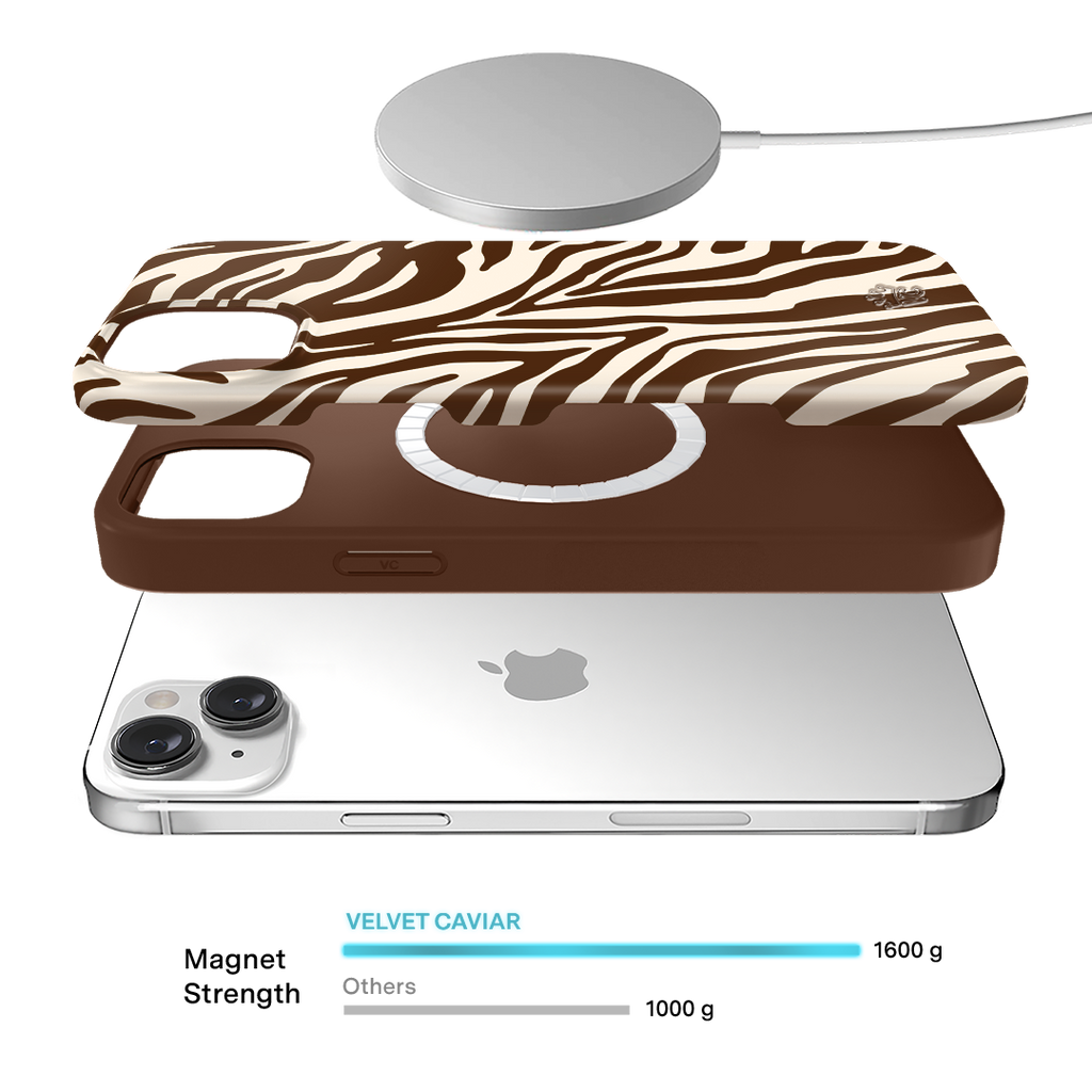 Coco Zebra iPhone Case
