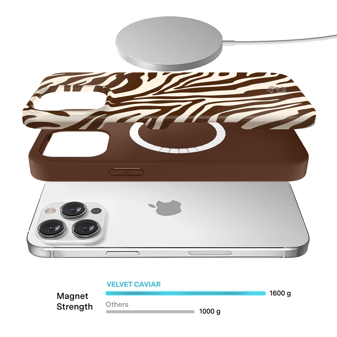 Coco Zebra iPhone Case
