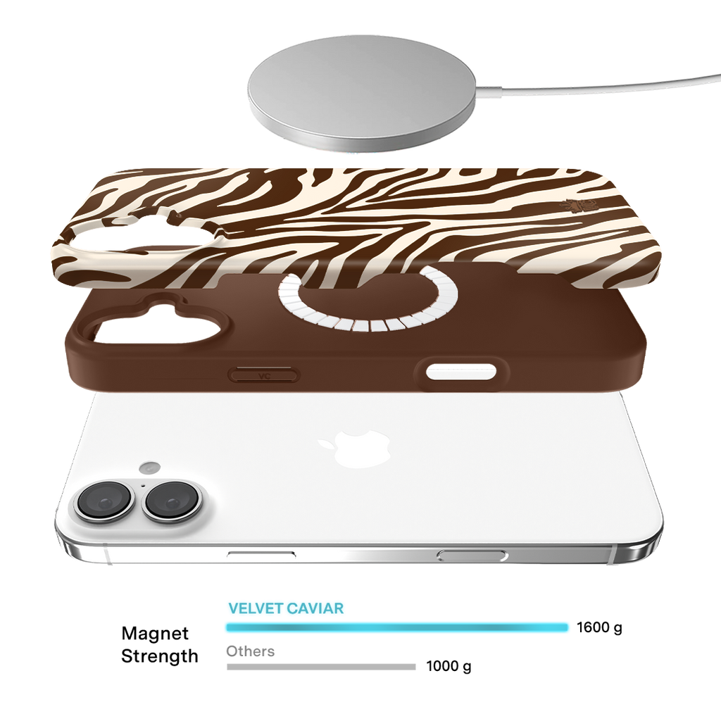 Coco Zebra iPhone Case