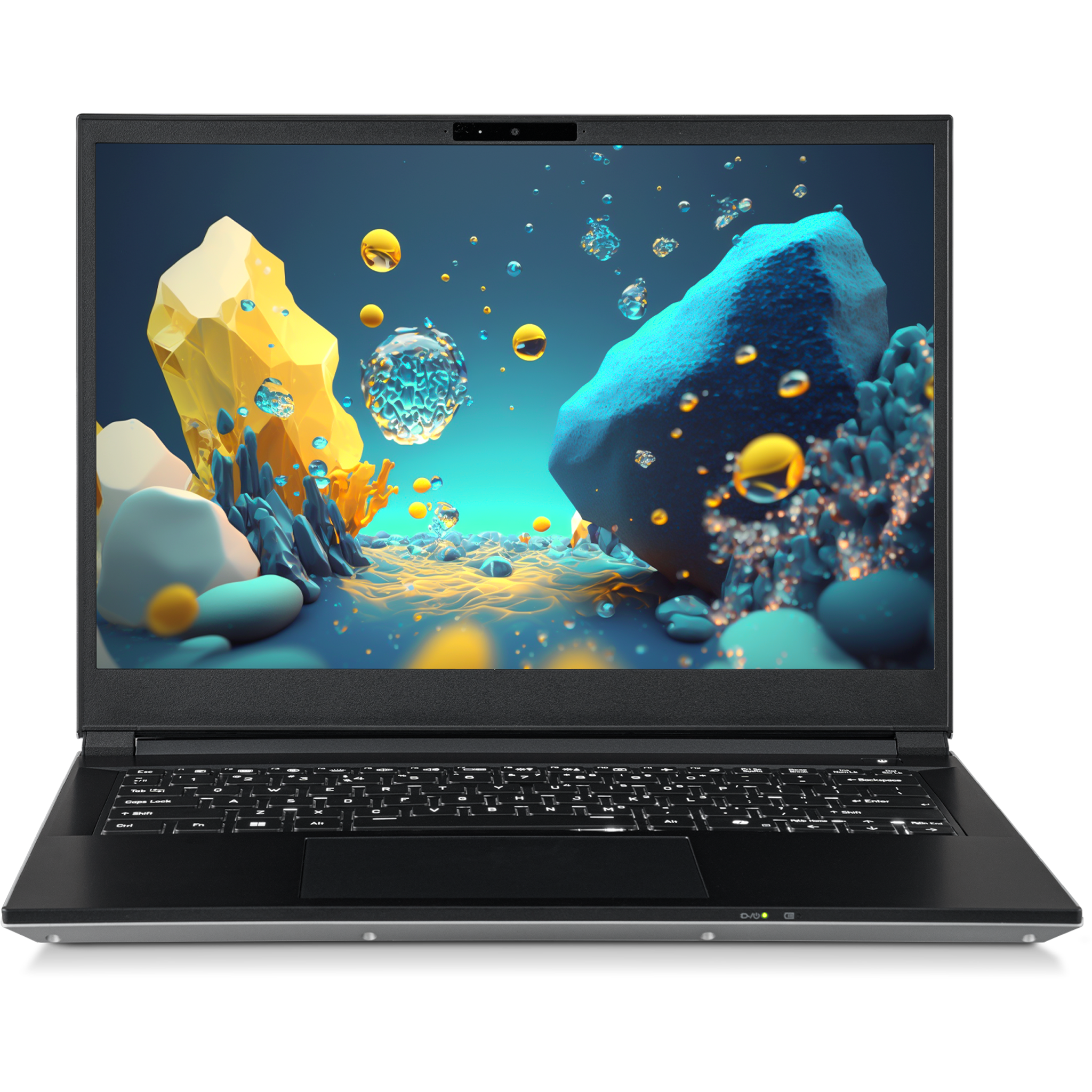SAGER NP3541U (Clevo V540TU1) Laptop