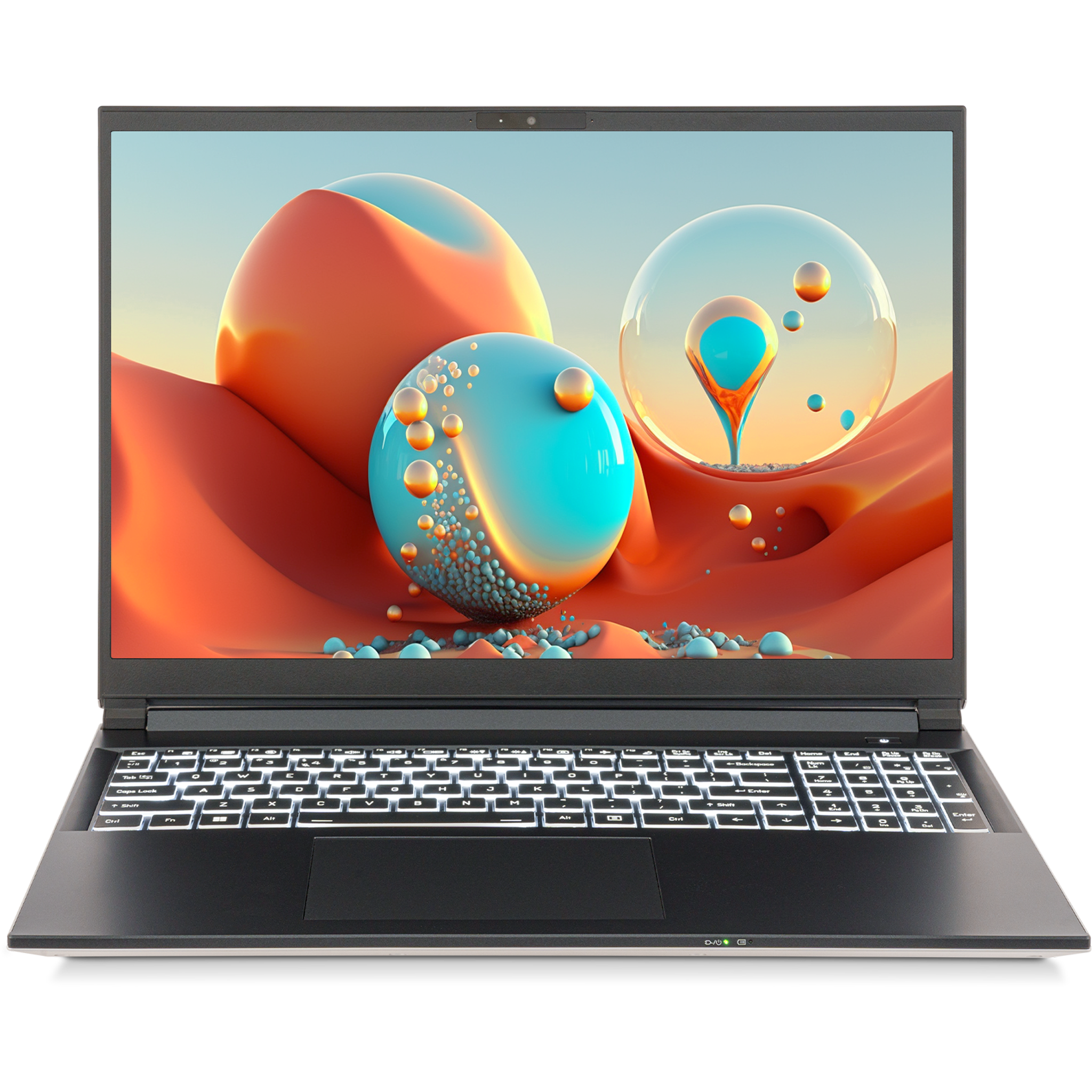 SAGER NP3561U (Clevo V560TU) Laptop