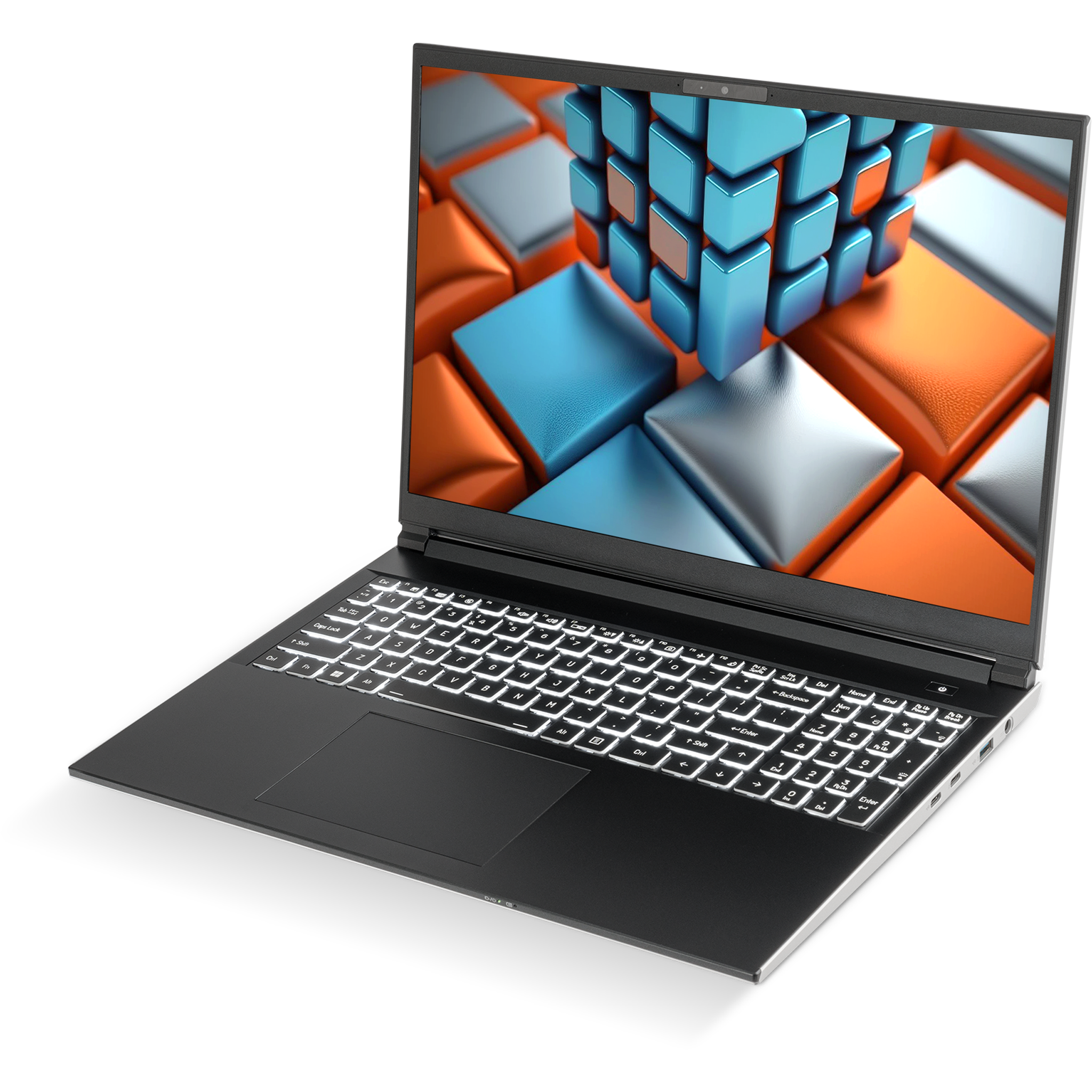 SAGER NP3561U (Clevo V560TU) Laptop