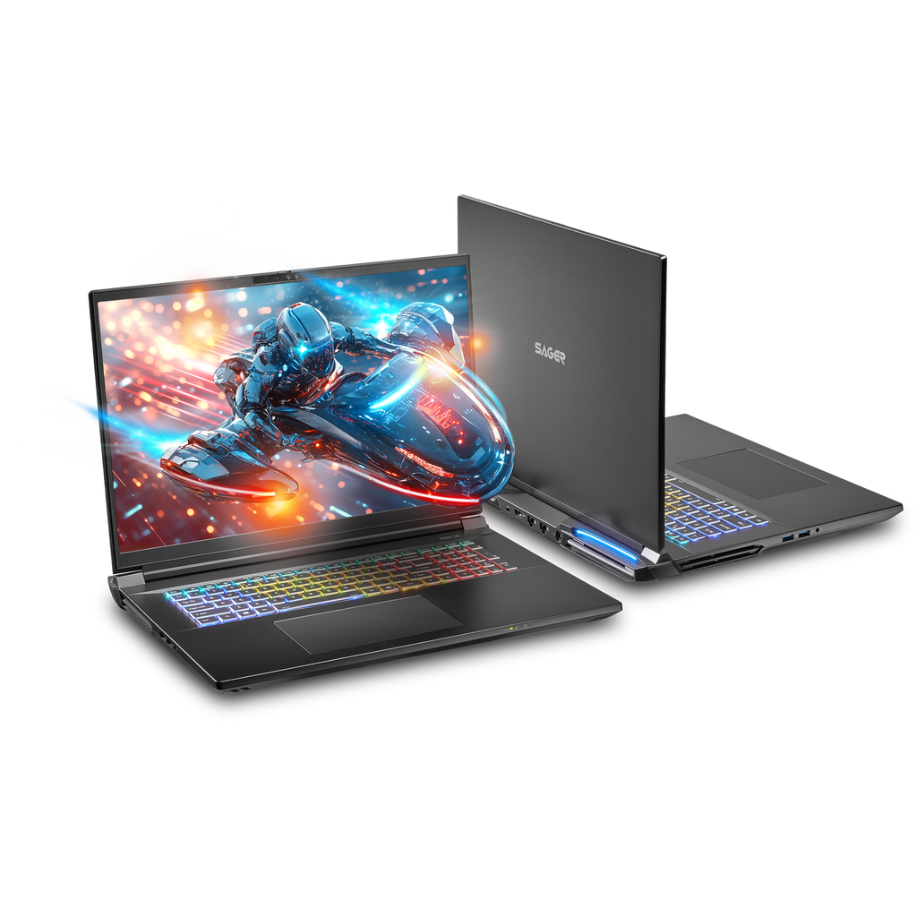 SAGER NP9580T (Clevo X580WNT-G) Gaming Laptop