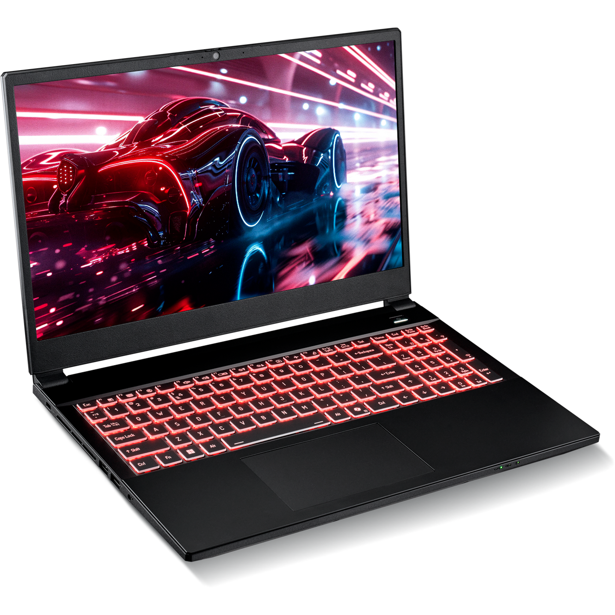 SAGER NP5251M (Clevo V255RNM) Gaming Laptop