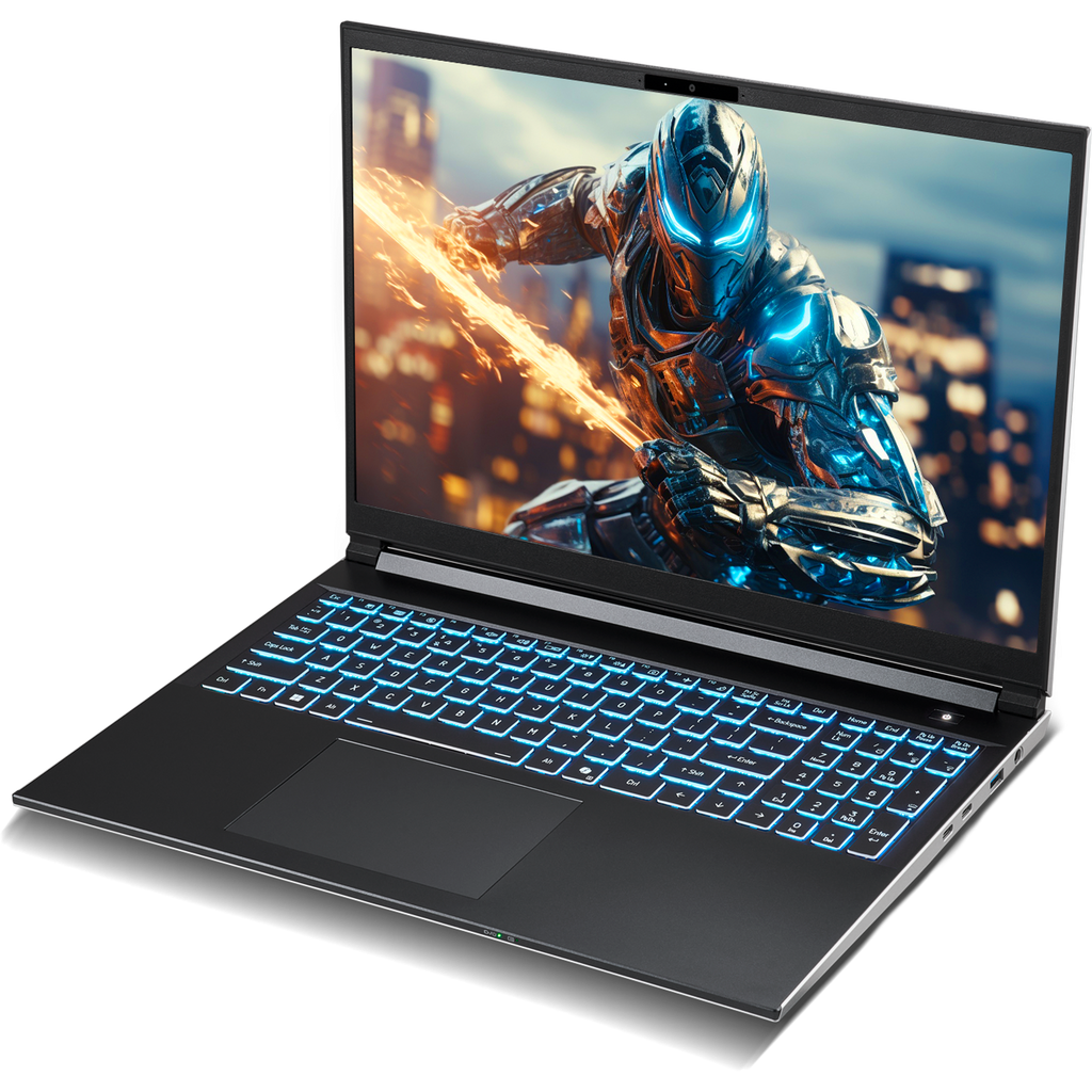 SAGER NP6560P (Clevo V560KNP) Gaming Laptop