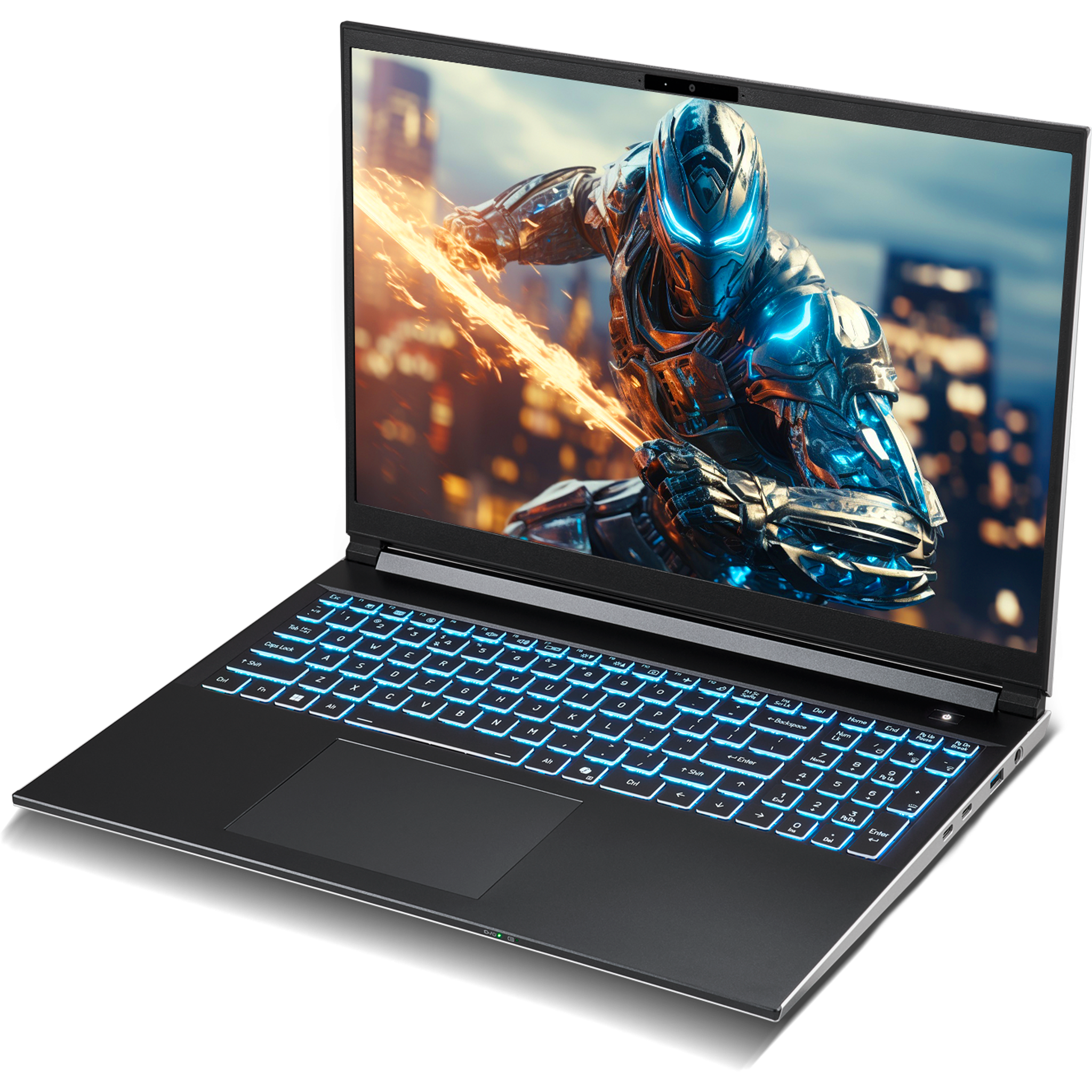 SAGER NP6560P (Clevo V560KNP) Gaming Laptop