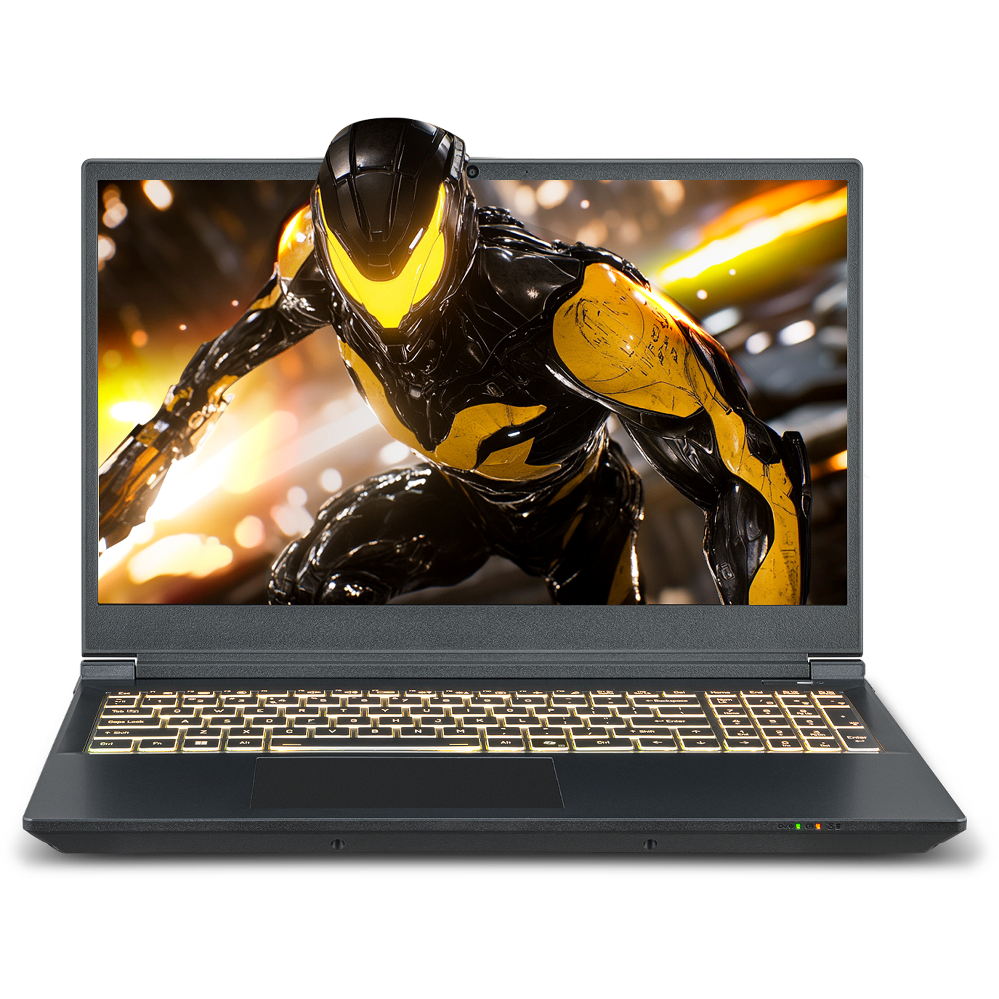 SAGER NP7551M (Clevo V350WNMQ) Gaming Laptop