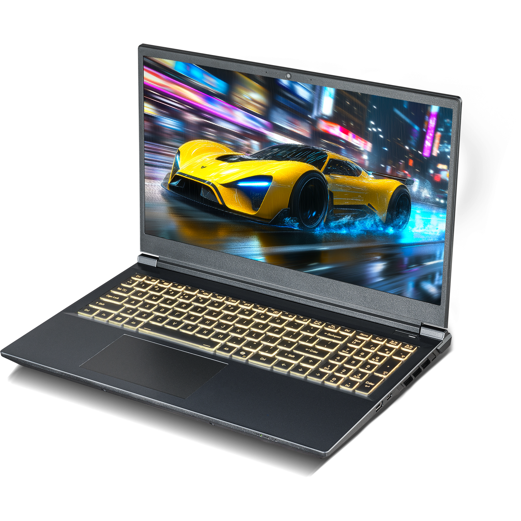 SAGER NP7551M (Clevo V350WNMQ) Gaming Laptop